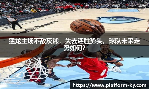 猛龙主场不敌灰熊，失去连胜势头，球队未来走势如何？