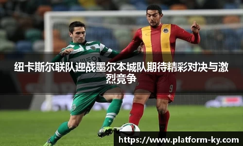 开云体育官网
